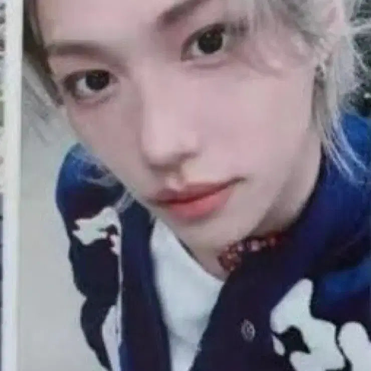 [BUNJANG] Stray Kids Felix POB Photocard / 스트레이키즈 스키즈 팬미팅 온라인 MD 4만원 특전 포카 felix