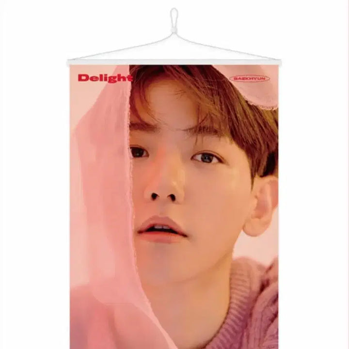 [BUNJANG] EXO Baekhyun Wall Scroll Poster / 백현 월 스크롤 포스터 양도 판매 엑소