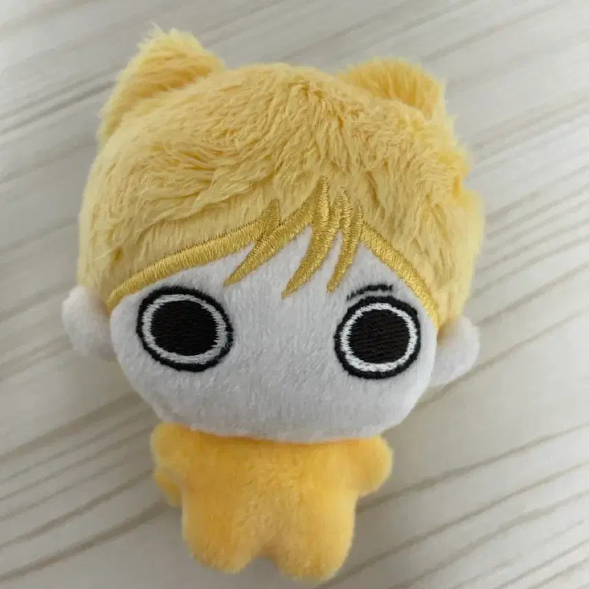 [BUNJANG] BOYNEXTDOOR Sungho Blonde Doll / 보이넥스트도어 성호 박깻잎 금발 인형 양도해요!