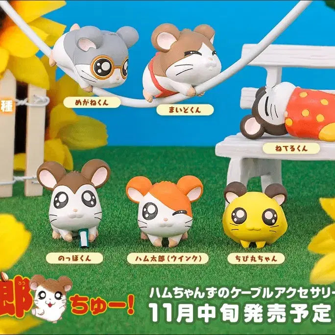[SOLD OUT] (2탄) 햄토리 허그코트 가챠 6종 전종 일괄