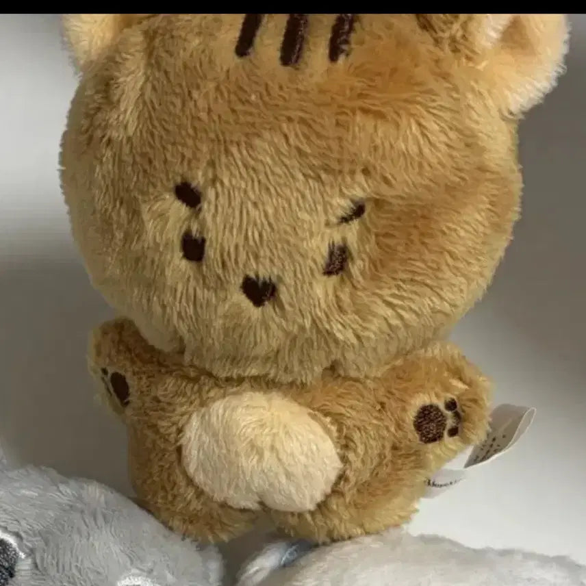 [BUNJANG] LUCY Choi Sangyeop Squirrel Doll / 루시 최상엽 인형 엽람쥐