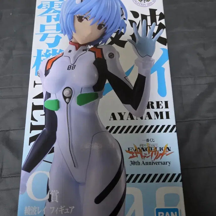 [BUNJANG] Evangelion Rei, Asuka Rubber Coaster / 에반게리온 레이 C상 및 E상 러버 코스터 아스카