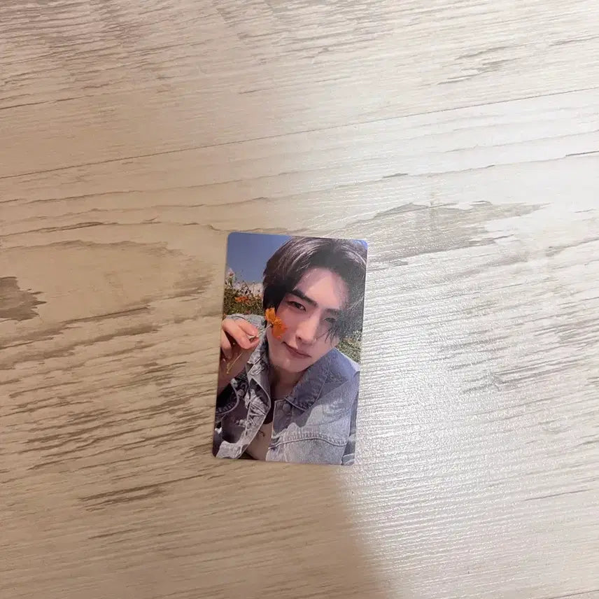 [BUNJANG] ENHYPEN Sunghoon Photocard / 엔하이픈 성훈 포카