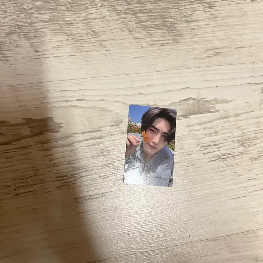 [BUNJANG] ENHYPEN Sunghoon Photocard / 엔하이픈 성훈 포카
