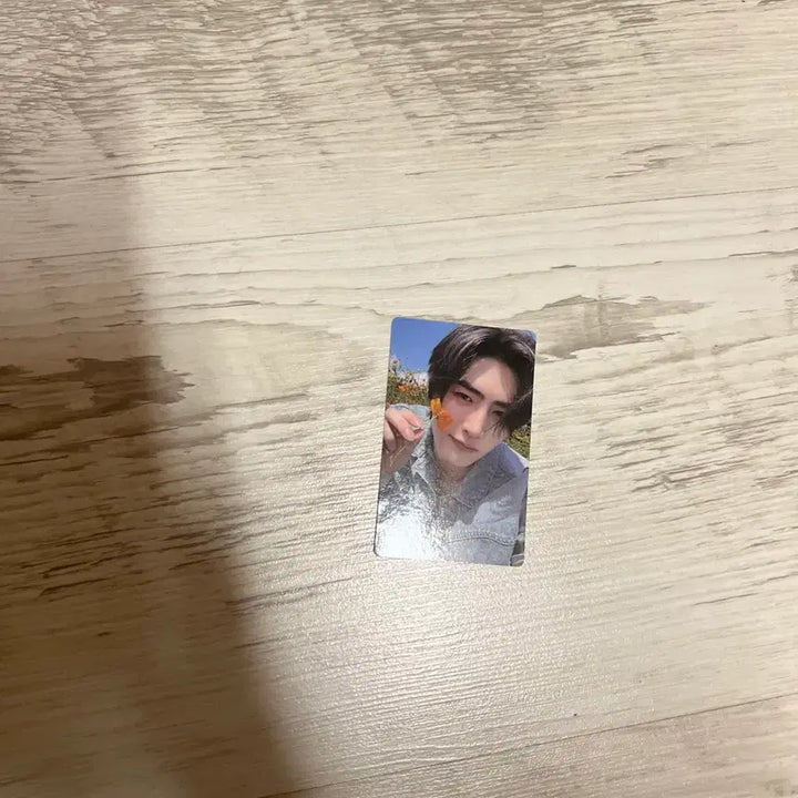 [BUNJANG] ENHYPEN Sunghoon Photocard / 엔하이픈 성훈 포카
