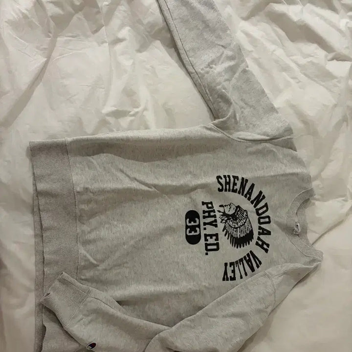 [BUNJANG] Champion Oatmeal XL Sweatshirt / 챔피온 맨투맨 오트밀xl