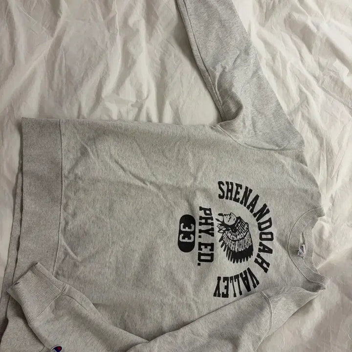 [BUNJANG] Champion Oatmeal XL Sweatshirt / 챔피온 맨투맨 오트밀xl