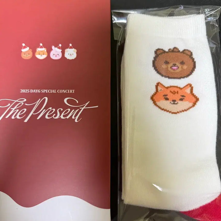 [BUNJANG] Day6 Concert Socks / 데이식스 클콘 양말