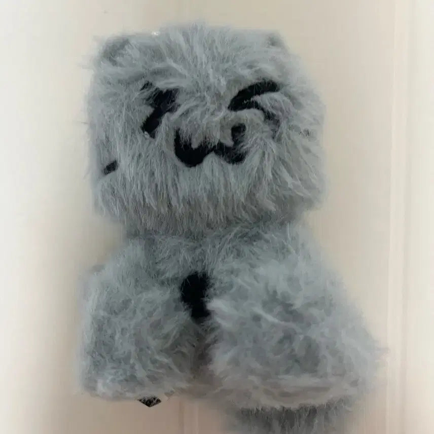 [SOLD OUT] 급처))먼지 투냥이