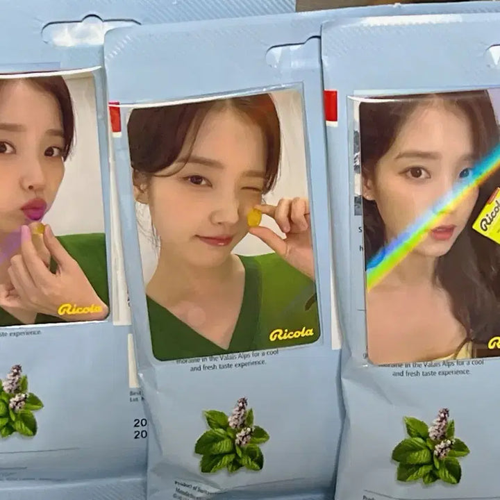 [BUNJANG] IU Lilac Photocard Bundle Set / 아이유 리콜라 포토카드 일괄