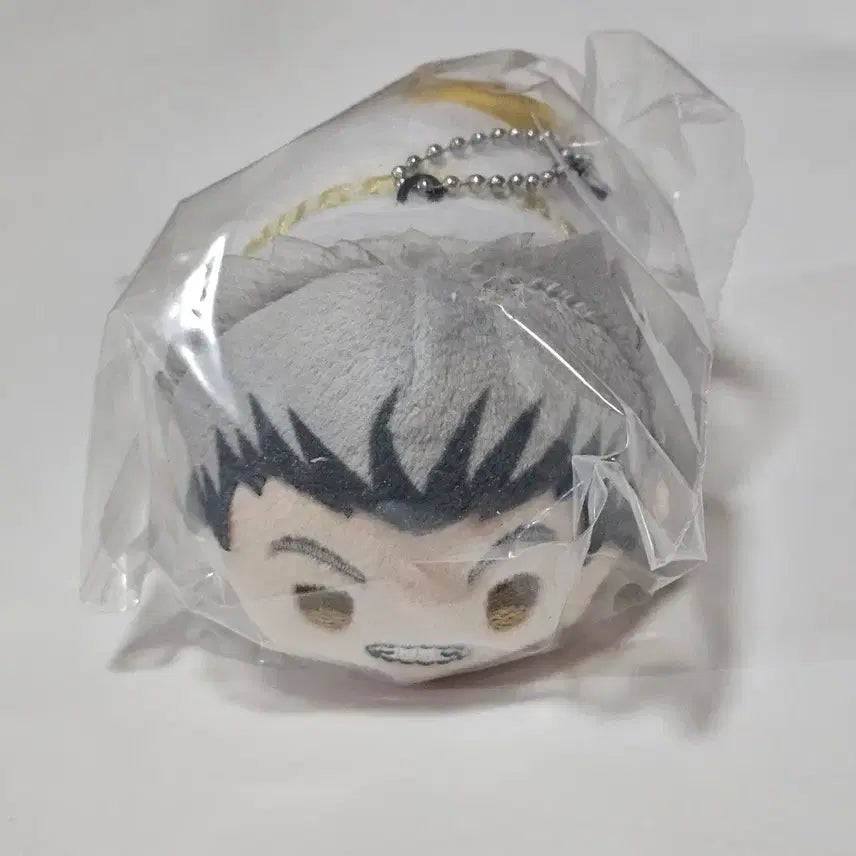 [BUNJANG] Haikyu Bokuto Koutarou Tsum Tsum / 하이큐 보쿠토 코타로 쯔무쯔무
