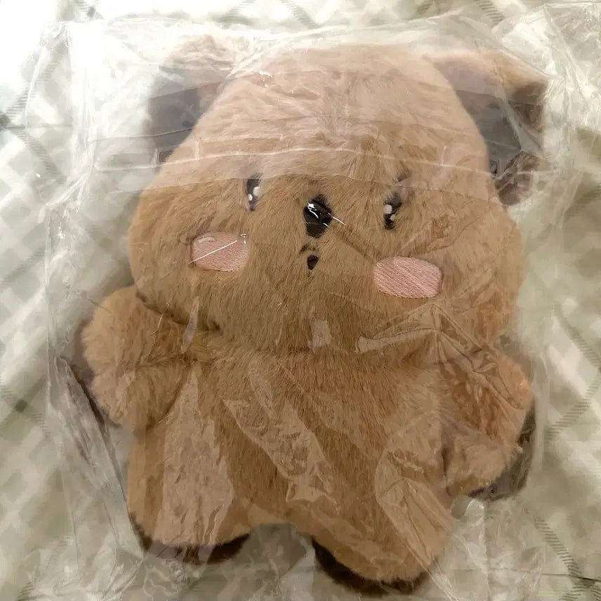[BUNJANG] MONSTA X Shownu 20cm Shyun-Kka Doll / 몬스타엑스 셔누 비공굿 션쿼카 20cm 미개봉