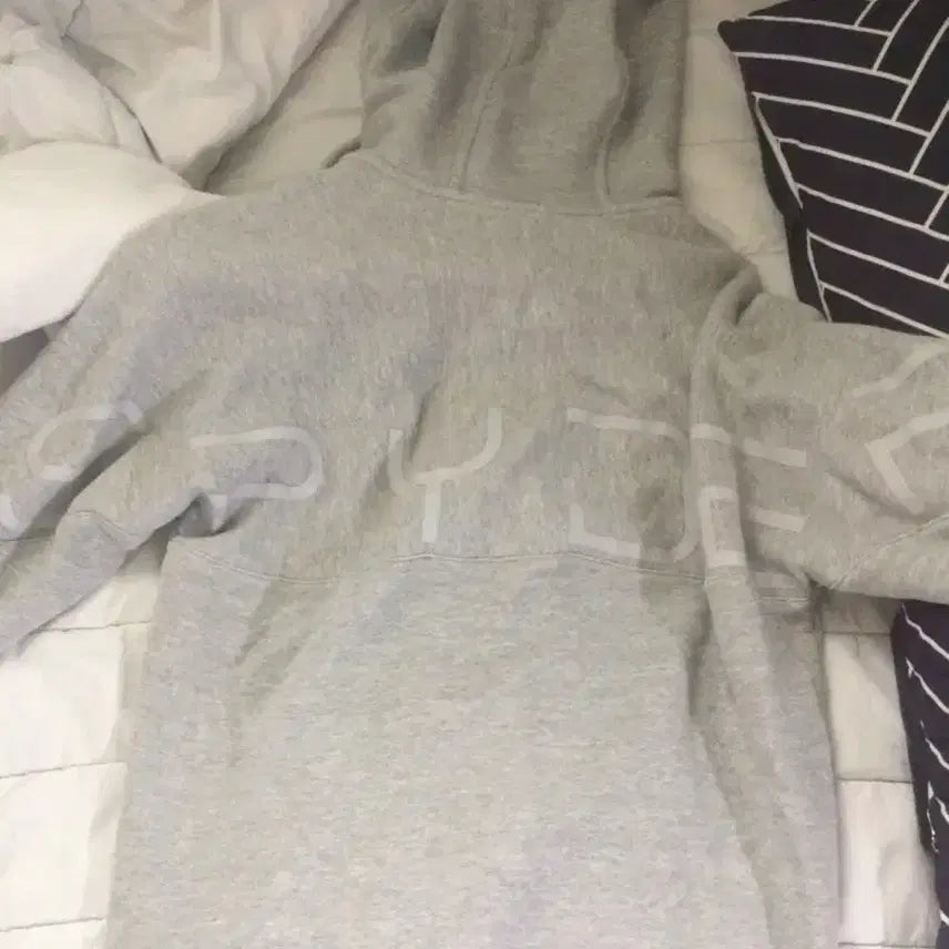 [BUNJANG] Spider Grey Hoodie Zip-up / 스파이더 회색 후드집업