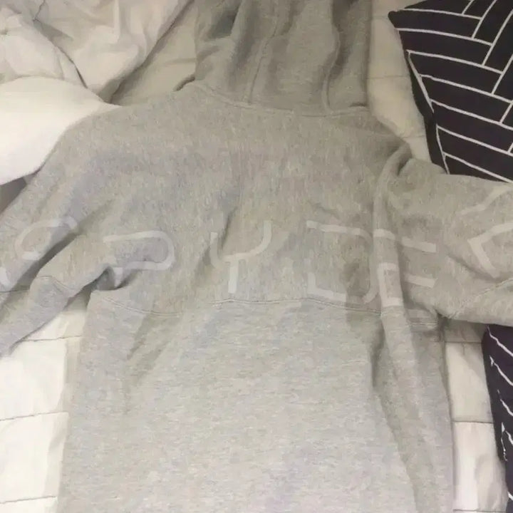[BUNJANG] Spider Grey Hoodie Zip-up / 스파이더 회색 후드집업