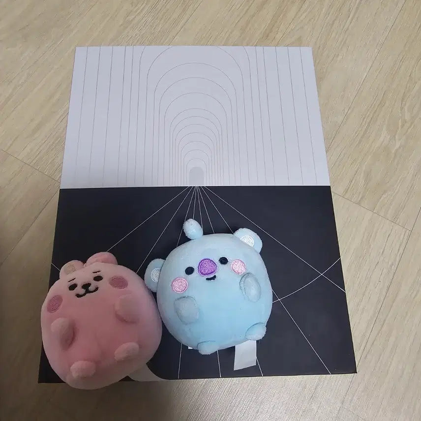 [BUNJANG] BTS Photobook + BT21 Doll / 방탄 포토북 판매합니다 + BT21 인형 덤