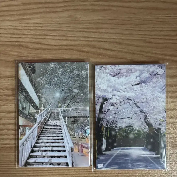 [SOLD OUT] 파도님 대지 일괄 양도 (최저가)