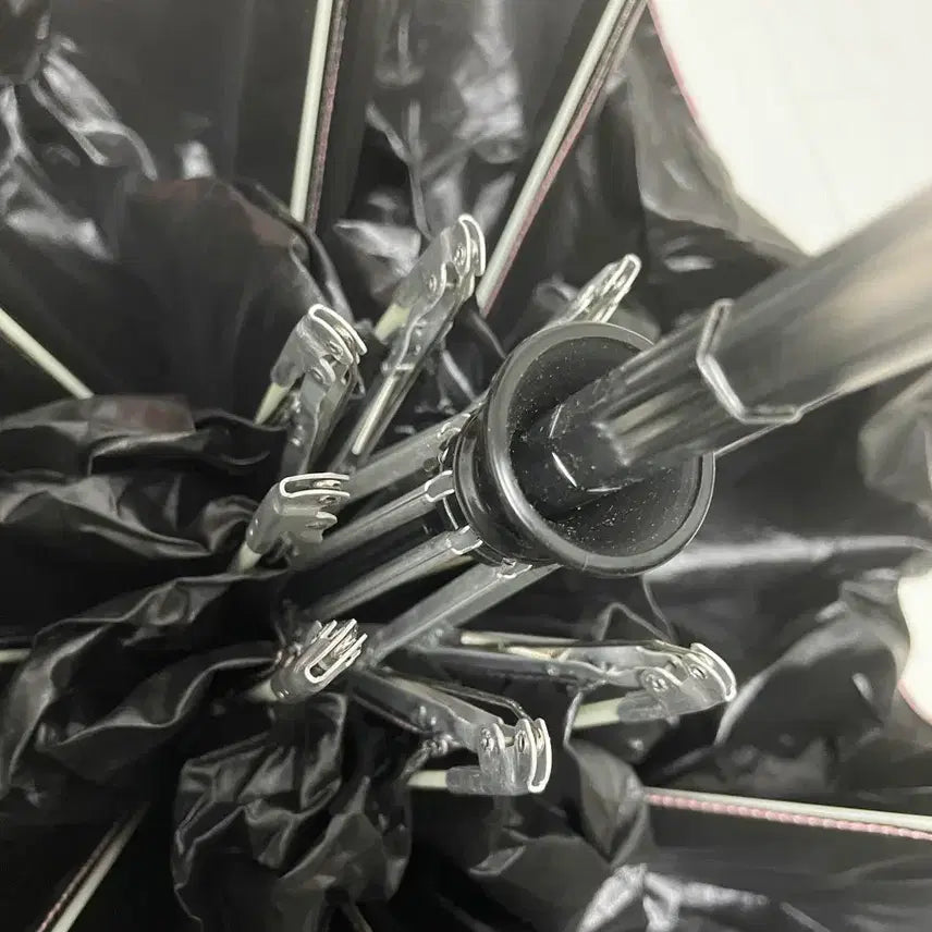 [BUNJANG] Agatha Automatic Umbrella / 아가타 자동우산