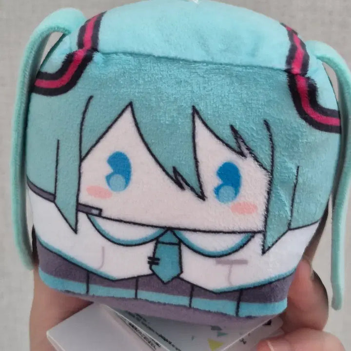 [BUNJANG] Sega Project SEKAI Hatsune Miku Tofu Plush / 세가 프로젝트 세카이 프세카 하츠네 미쿠 두부 누이