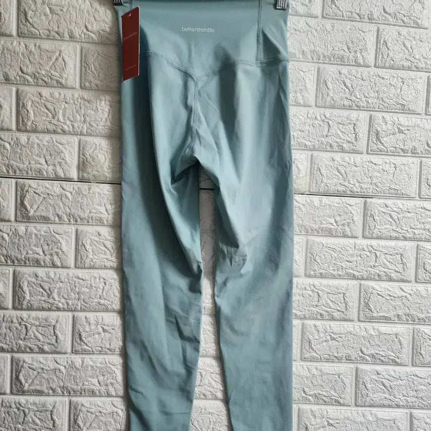 [BUNJANG] betterthanlife Leggings Mint L / betterthanlife /레깅스 /L /민트색/새상품