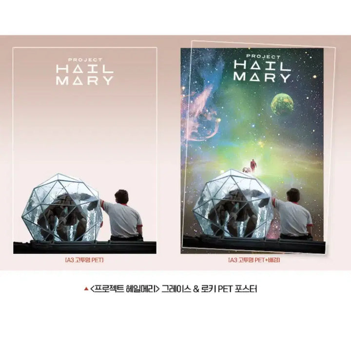 [BUNJANG] Project Hail Mary Grace &amp; Rocky PET Poster / (1분 남음) 프로젝트 헤일메리 3주차 주말 그레이스&amp;로키 PET 포스터