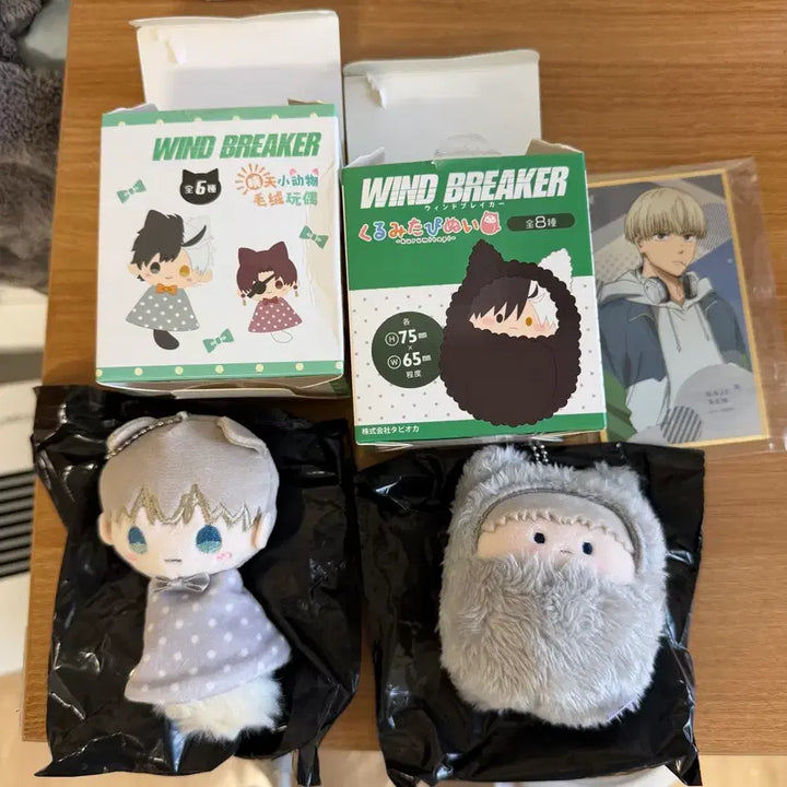 [BUNJANG] Wind Breaker Kazuki Teruteru Tapinui Bundle Set / 윈드브레이커 윈브레 카지 테루테루 타피누이 일관판매
