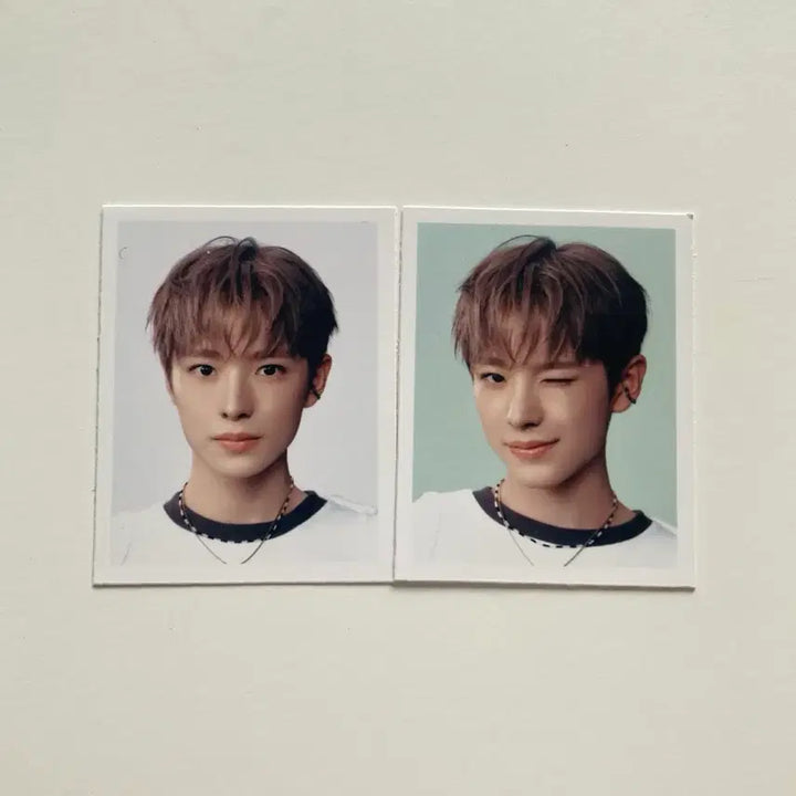 [SOLD OUT] [당일발송] 엔시티 위시 컬러 유우시 증명사진 일괄
