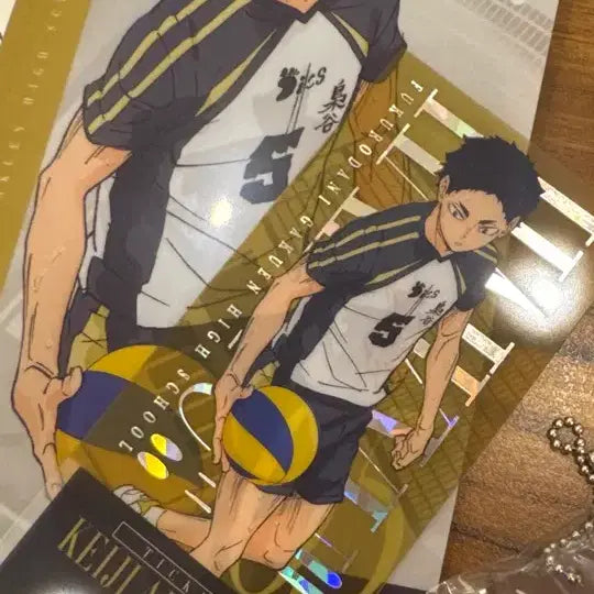 [BUNJANG] Haikyuu The Strongest Challenger Akaashi Figure / 하이큐 최강의 도전자 I상