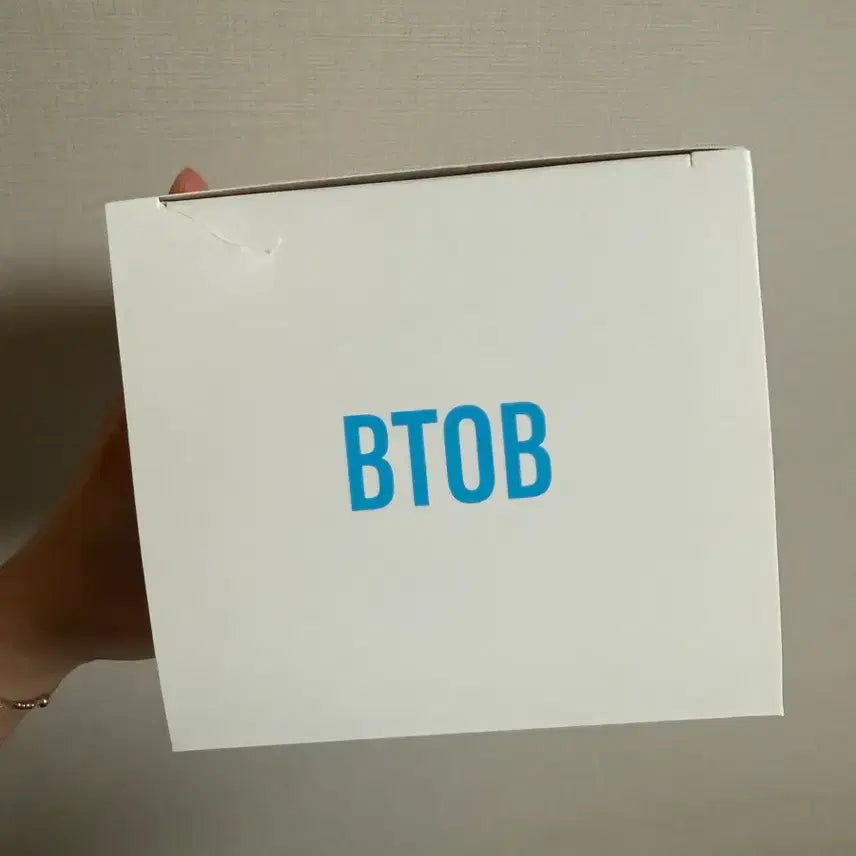 [BUNJANG] BTOB Official Lightstick Ver. 3 / 비투비 응원봉3