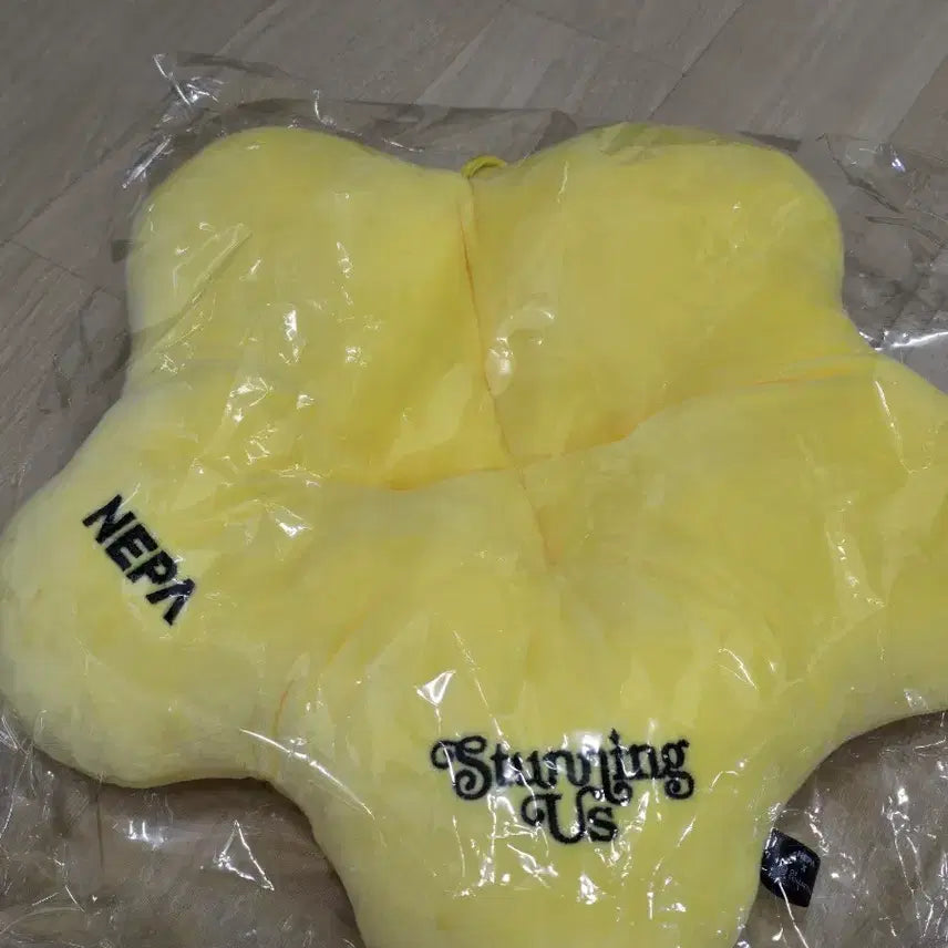 [BUNJANG] 2PM Junho Fan-Con Cushion / 2PM 준호 팬콘 방석