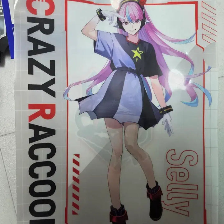 [BUNJANG] Crazzy Racoon Selly Goods Bundle Set / crazzy raccoon 크레이지 라쿤 selly 양도