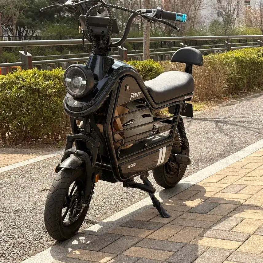 [BUNJANG] AU Tech Eco-Rider Pony Electric Scooter / Au테크 에코로 포니 자토바이 더이상 가격 안내립니다