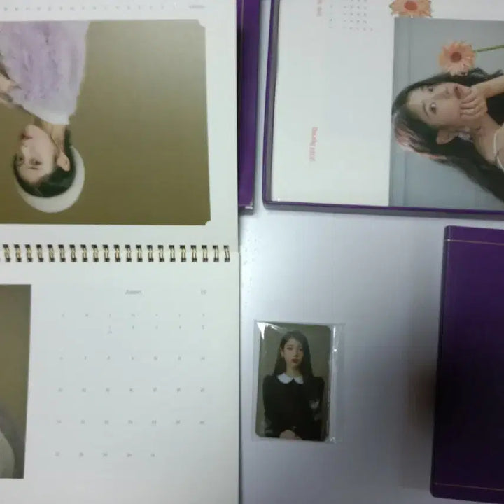 [SOLD OUT] 아이유 2019 시그