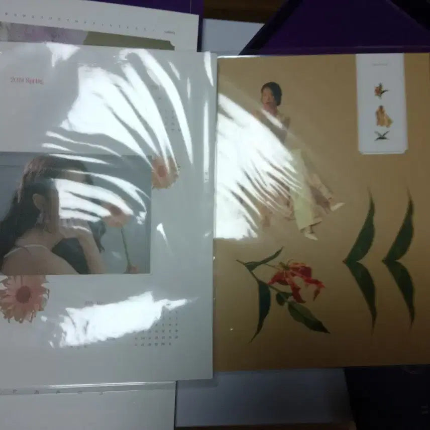 [SOLD OUT] 아이유 2019 시그
