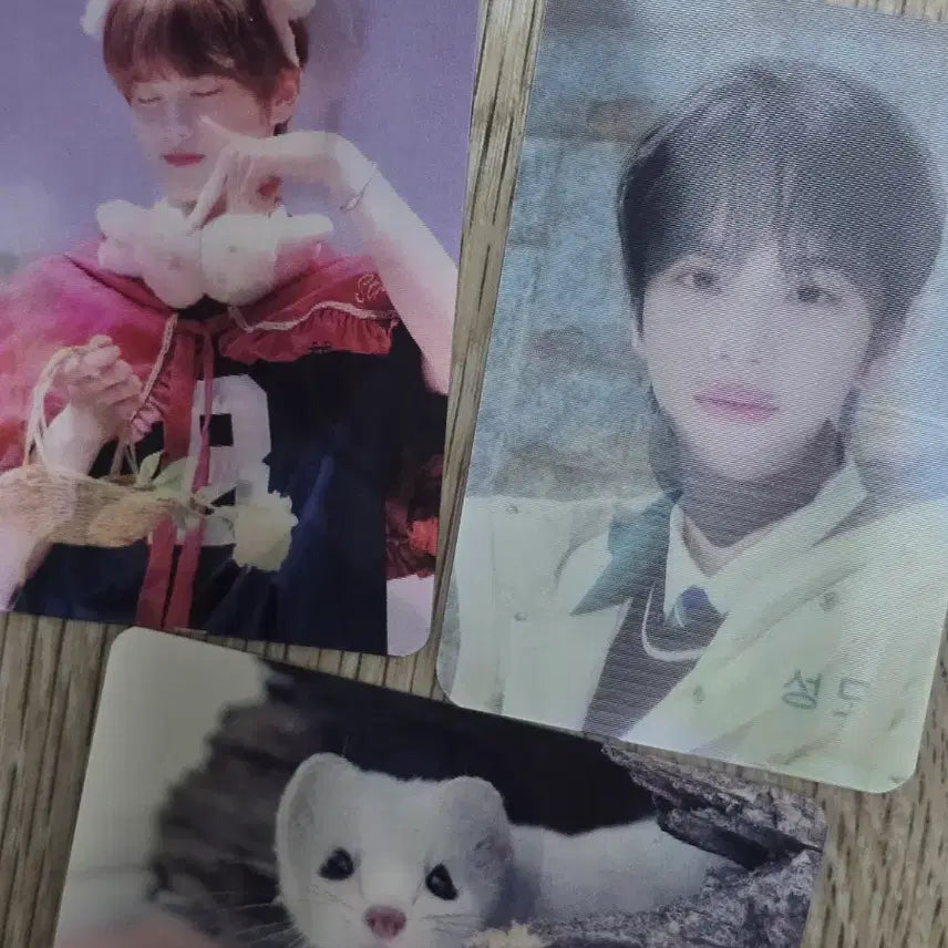 [BUNJANG] Shin Yu Lenticular Photocard Bundle Set / 신유 렌티큘러 포토카드3장
