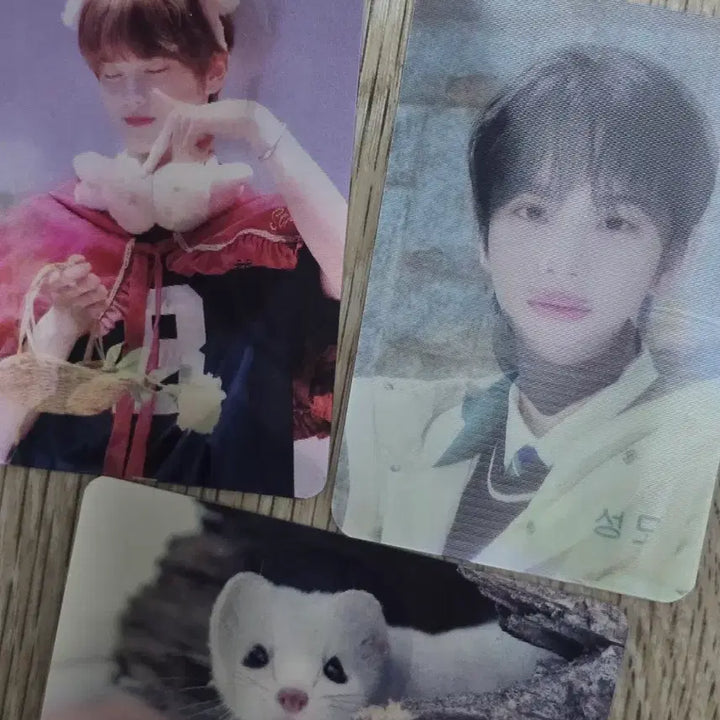 [BUNJANG] Shin Yu Lenticular Photocard Bundle Set / 신유 렌티큘러 포토카드3장