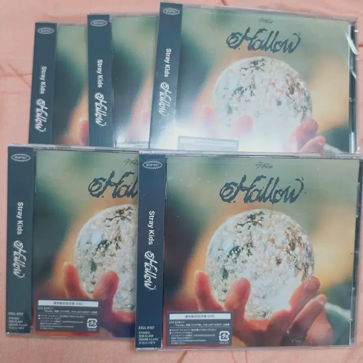[SOLD OUT] [BUNJANG] Stray Kids Hollow Standard Version Album Bundle Set / 5장 일괄:)) 스트레이키즈 hollow 통상반 미개봉 앨범