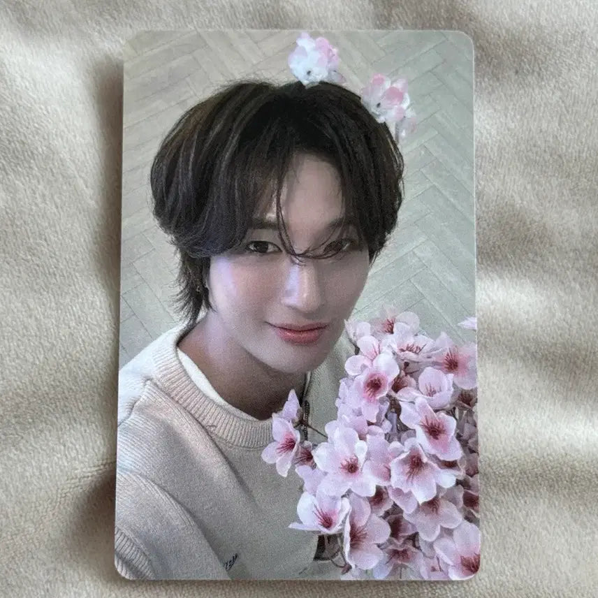 [SOLD OUT] 다크비 이찬 이모션 뮤직아트 벚꽃 버전 미공포 특전 포카