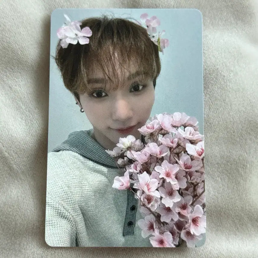 [BUNJANG] DKB You.Ku Emotion Music Art Cherry Blossom Version POB Photocard / 다크비 유쿠 이모션 뮤직아트 벚꽃 버전 미공포 특전 포카