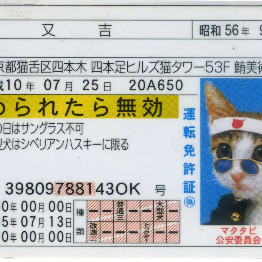 [BUNJANG] Nameneko Matayoshi Toy Driver&