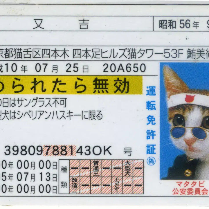 [BUNJANG] Nameneko Matayoshi Toy Driver&