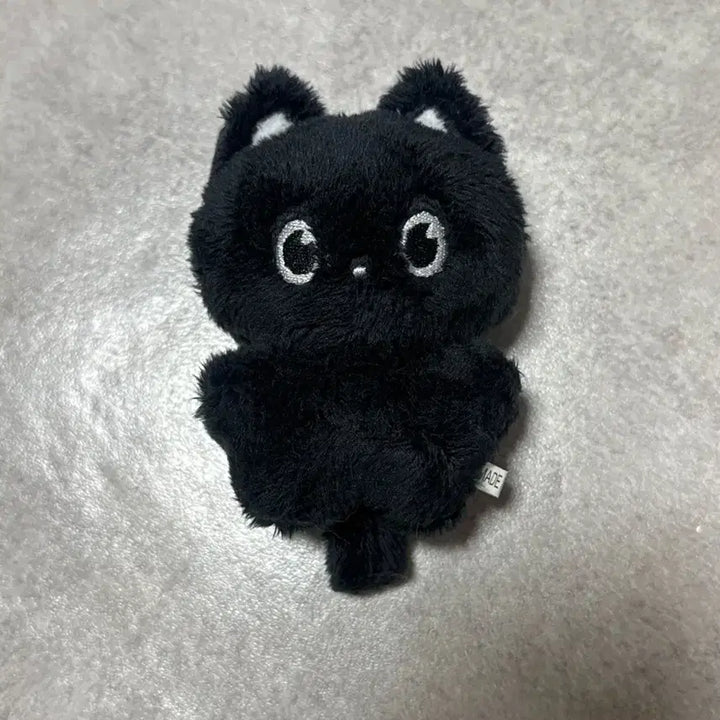 [BUNJANG] RIIZE Wonbin Nyanbbi Doll / 라이즈 원빈 인형 냥삐