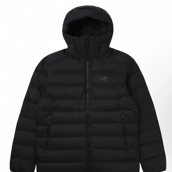 [SOLD OUT] 아크테릭스 토륨 후디 블랙 패딩 2xl xxl