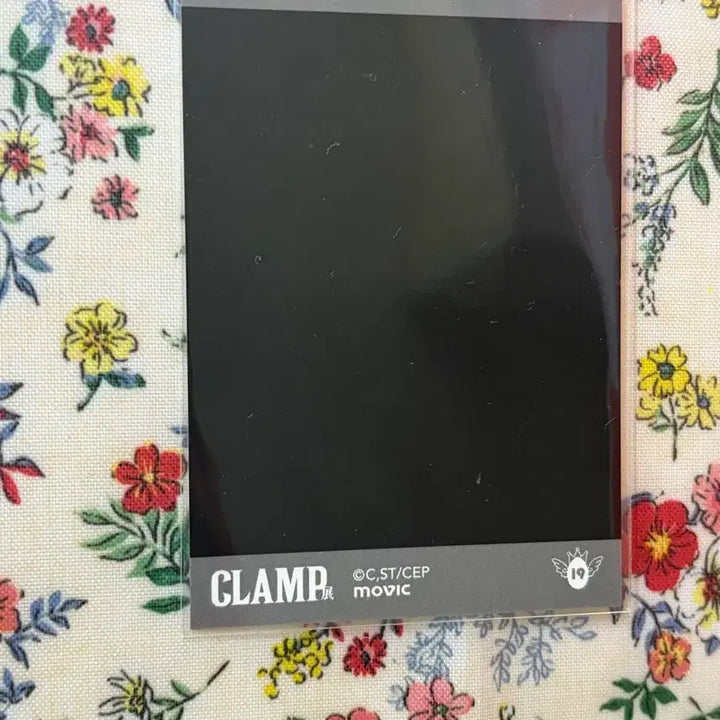 [BUNJANG] Clamp Exhibition Watanuki Kimihiro Holic Paschacolle / 클램프전 파샤코레 와타누키 유코 홀릭