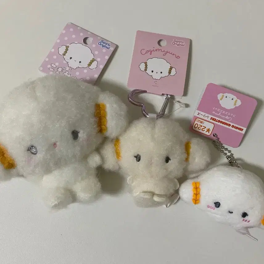 [BUNJANG] CorgiMung Bundle Set / 코기뮹 일괄