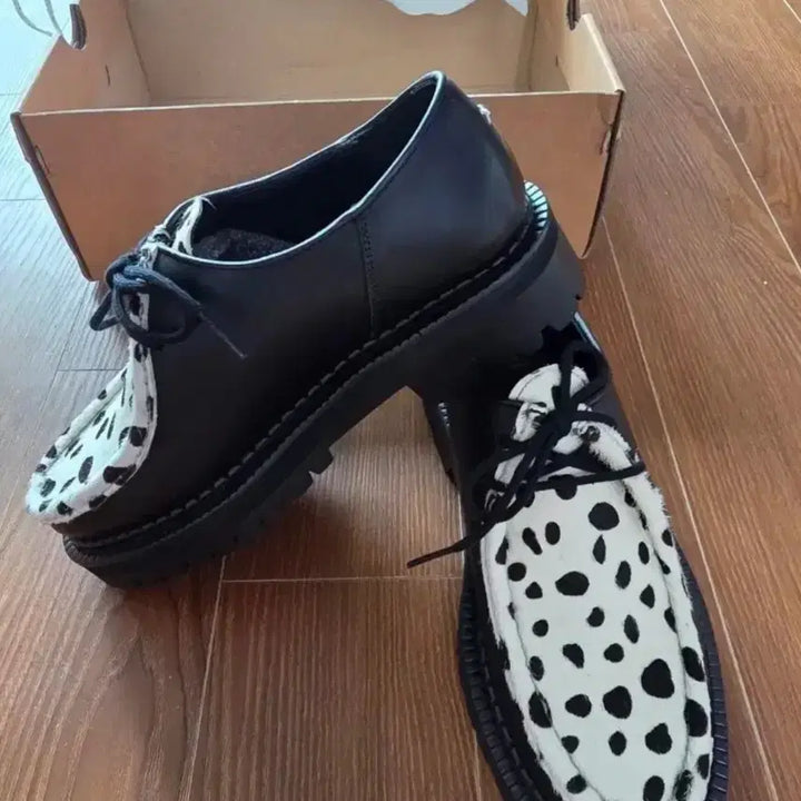 [BUNJANG] Color Cola Dalmatian Loafers (Size 240) / 컬러콜라 달마시안 로퍼 240사이즈입니다