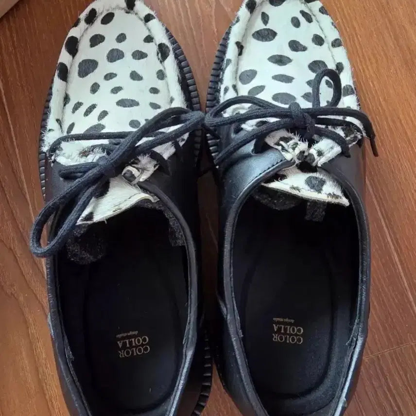 [BUNJANG] Color Cola Dalmatian Loafers (Size 240) / 컬러콜라 달마시안 로퍼 240사이즈입니다