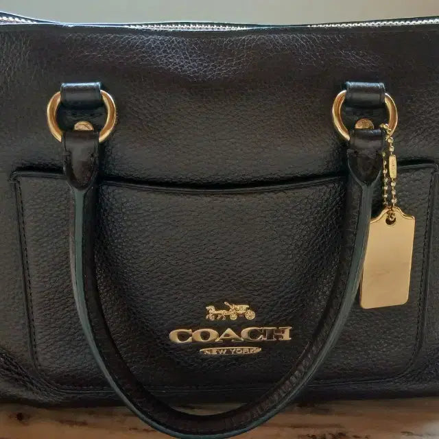 [BUNJANG] Coach Mini Emma Satchel F31466 Handbag / (강원 양양) 코치 미니 엠마 사첼 F31466 (와인색)