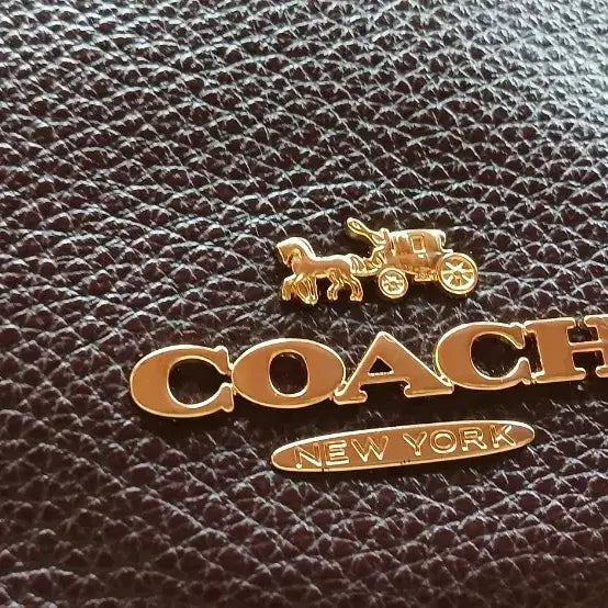 [BUNJANG] Coach Mini Emma Satchel F31466 Handbag / (강원 양양) 코치 미니 엠마 사첼 F31466 (와인색)