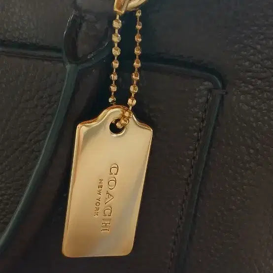 [BUNJANG] Coach Mini Emma Satchel F31466 Handbag / (강원 양양) 코치 미니 엠마 사첼 F31466 (와인색)