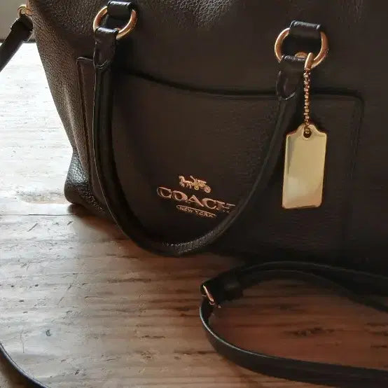 [BUNJANG] Coach Mini Emma Satchel F31466 Handbag / (강원 양양) 코치 미니 엠마 사첼 F31466 (와인색)